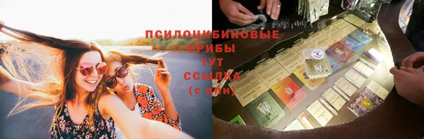 СК Алзамай