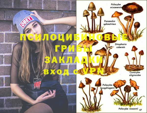 таблы Алексеевка