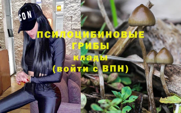 СК Алзамай