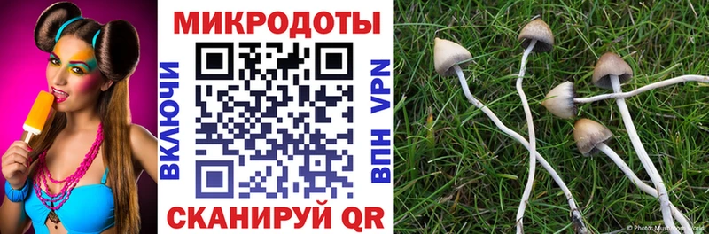 Псилоцибиновые грибы Psilocybine cubensis  хочу   Лобня 